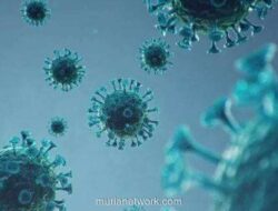 Anggota DPR Desak Pemerintah Siagakan Diri Hadapi Ancaman Virus Nipah