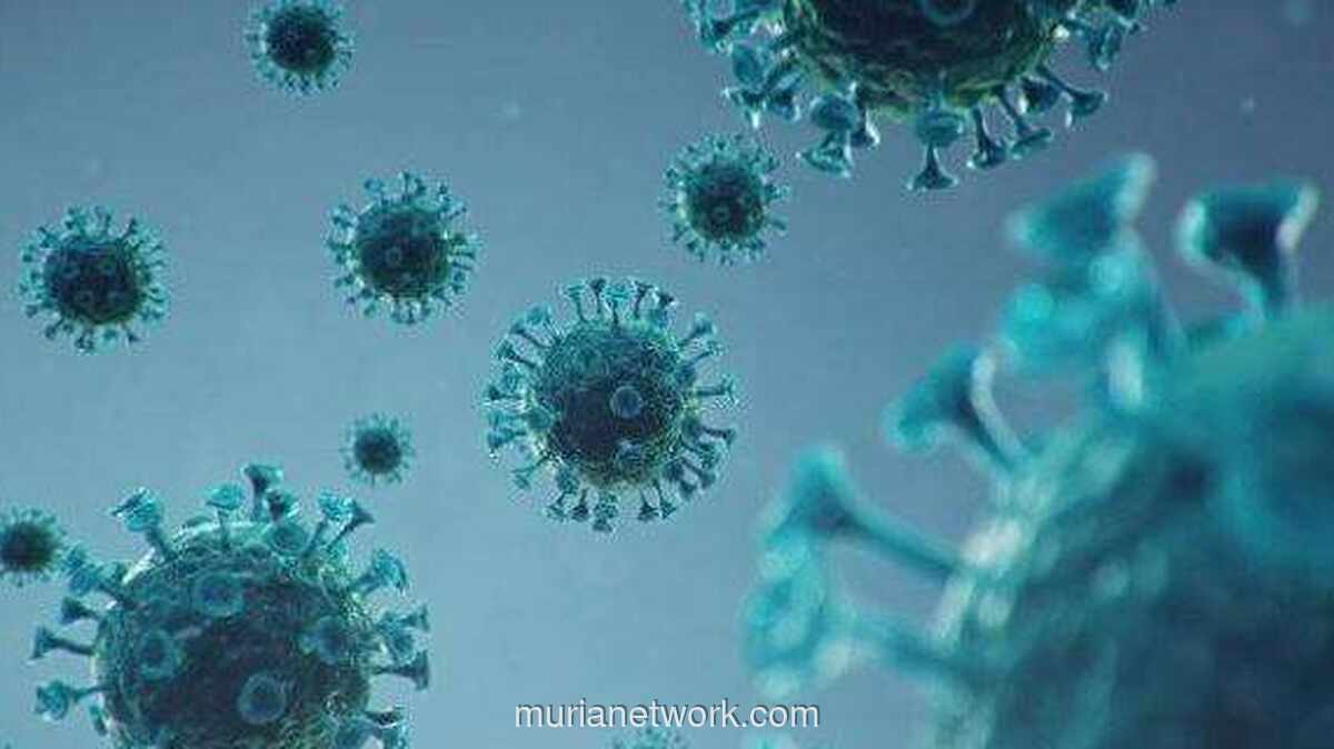 Anggota DPR Desak Pemerintah Siagakan Diri Hadapi Ancaman Virus Nipah