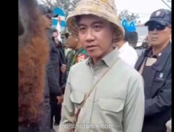 Warga Wamena Keluhkan BBM Rp25 Ribu, Respons Santai Gibran Tuai Sorotan