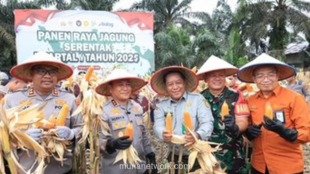 Swashbenda Jagung Riau: Polisi Panen 100 Ton di Tengah Hamparan Menguning