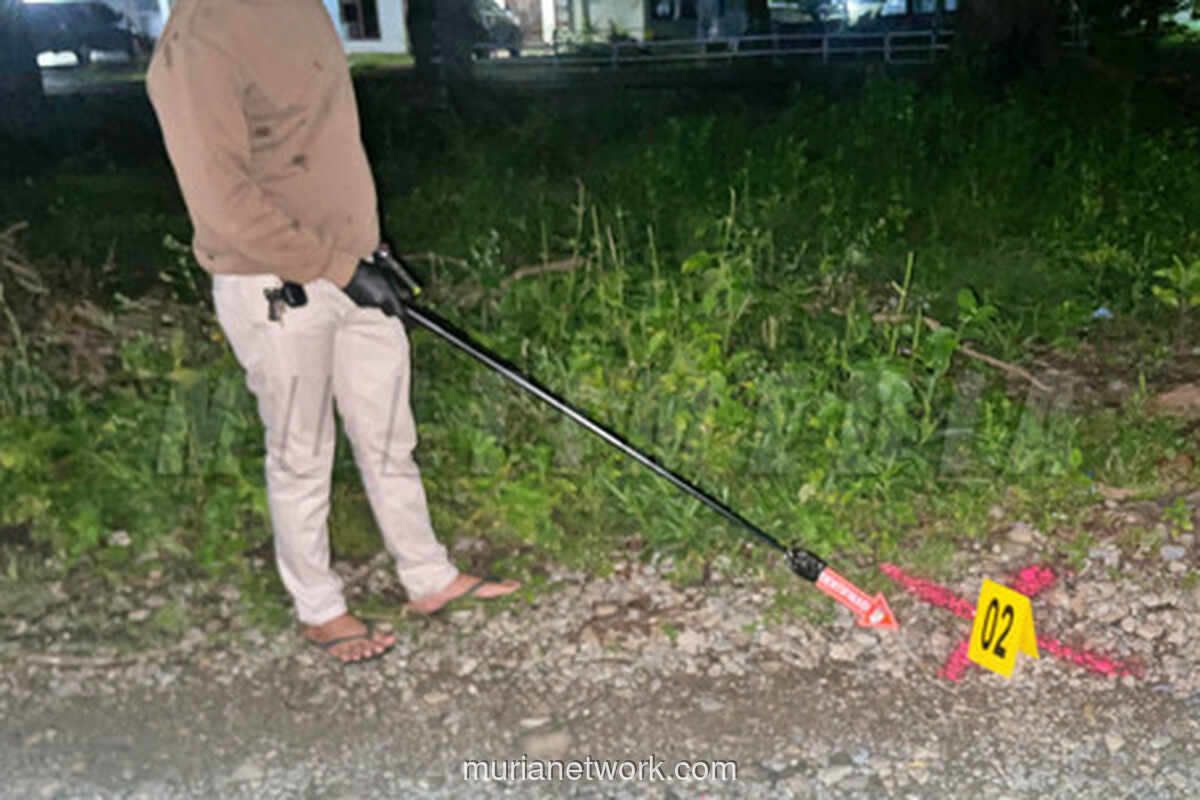Burung Hantu Ditembak Mati di Belu, Warga Mengeluh Gangguan Tidur