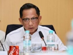 Dari Reruntuhan Banjir, Warga Aceh Utara Bangkit dengan Harta Karun Kayu