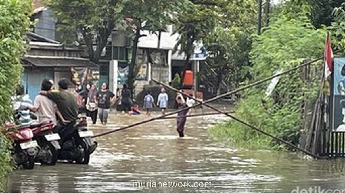 Banjir Pati Kian Meluas, 112 Desa Terendam Air