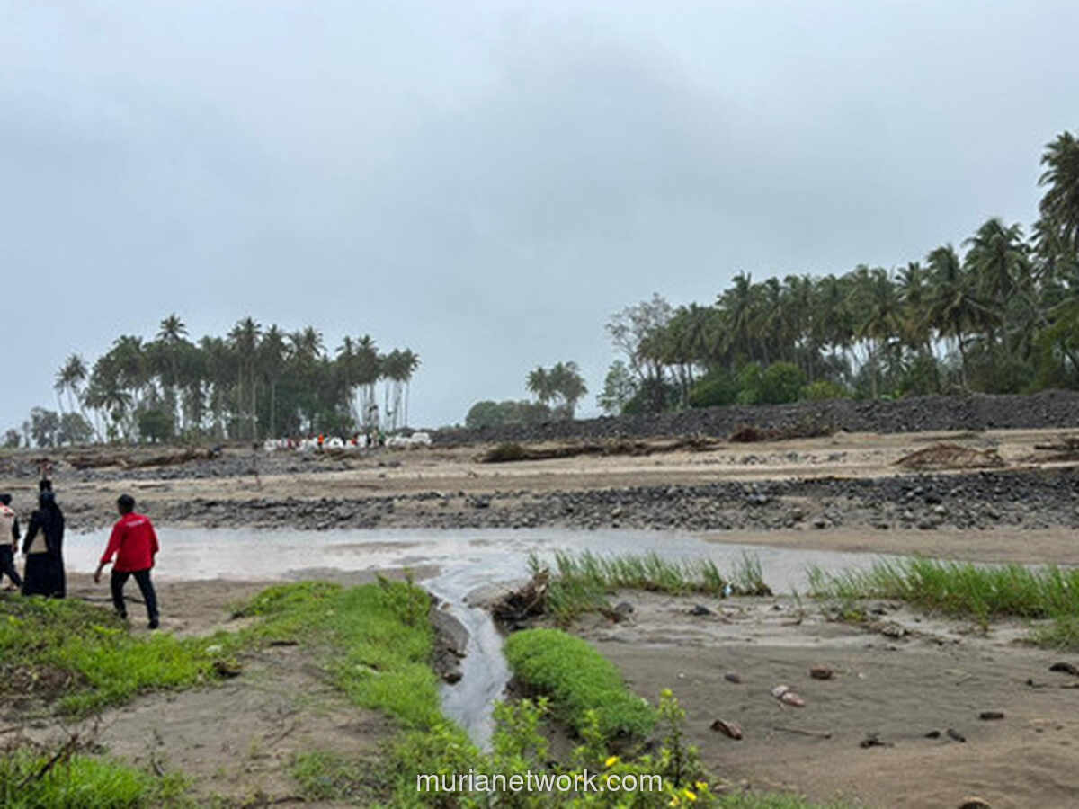 Pemulihan Lahan Pertanian di Sumatera Dimulai, Kerugian Capai Ratusan Ribu Hektare