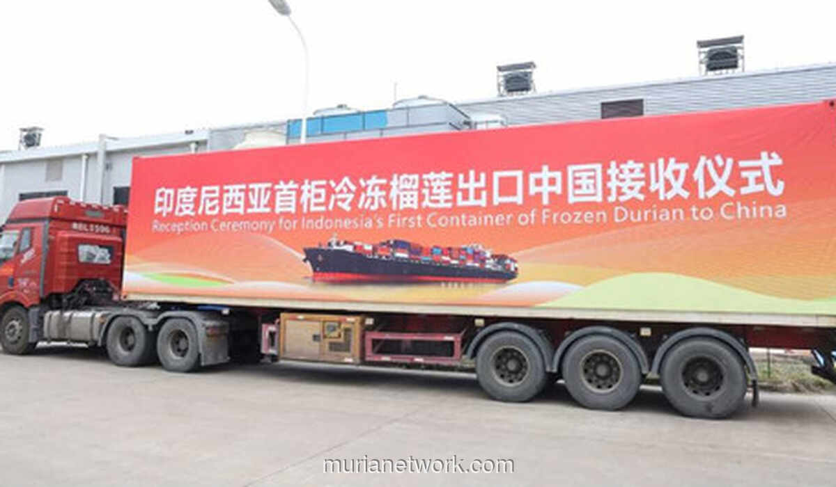 Durian Beku Indonesia Resmi Pecah Pasar China