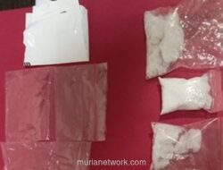 Polres Rokan Hulu Bongkar Jaringan Narkoba di Hari Pertama 2026