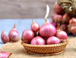 Rahasia Tak Tertulis di Dapur Padang: Bawang Merah Harus Lebih Banyak!