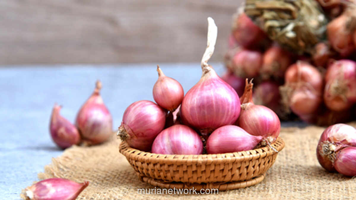 Rahasia Tak Tertulis di Dapur Padang: Bawang Merah Harus Lebih Banyak!