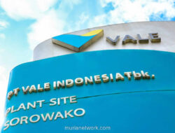 Lampu Hijau RKAB 2026, Vale Indonesia Pacu Operasi Tambang