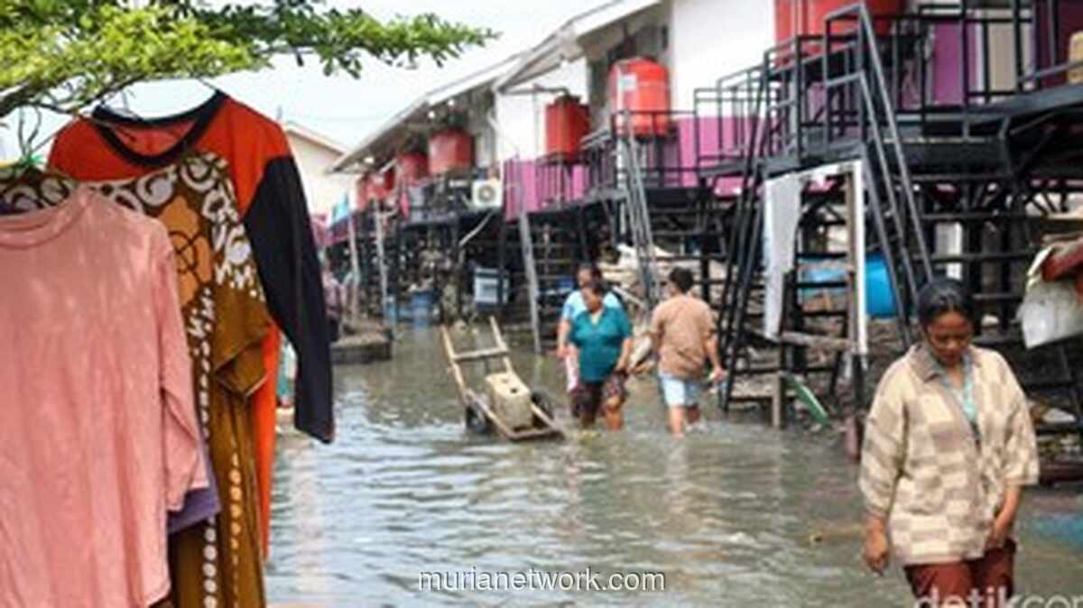 Warga Pesisir Jakarta Siaga, Rob Diprediksi Melanda Awal Februari 2026