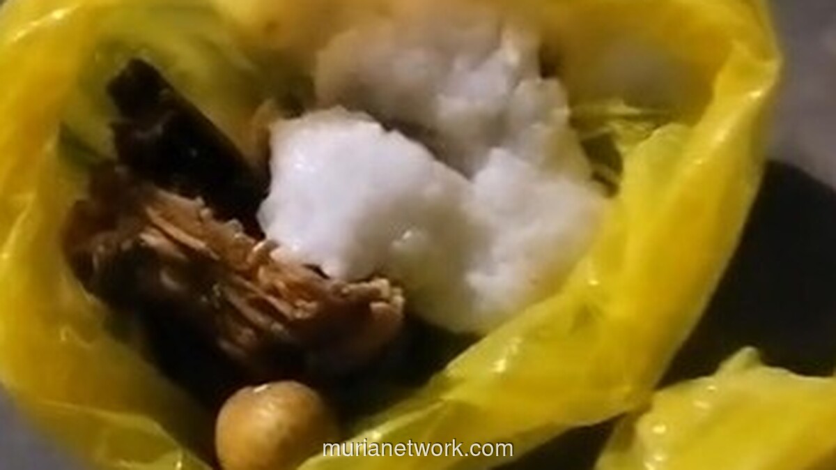 Makanan Bergizi Ibu Hamil Disajikan dalam Kantong Plastik, Kader Posyandu Banten Dituding Ceroboh