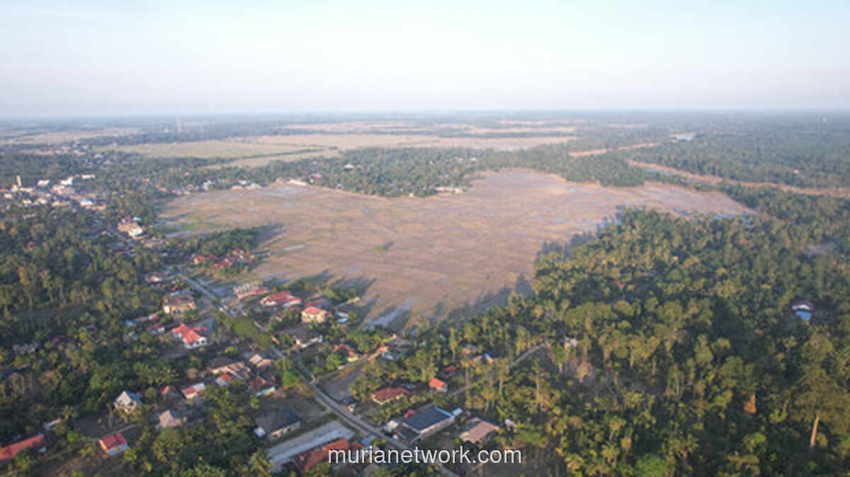 Banjir Sumut Rugikan Koperasi Rp 37,72 Miliar, Kemenkop Siapkan Restrukturisasi