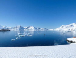 Bayi Pertama Antartika: Kelahiran yang Dirancang untuk Klaim Kedaulatan