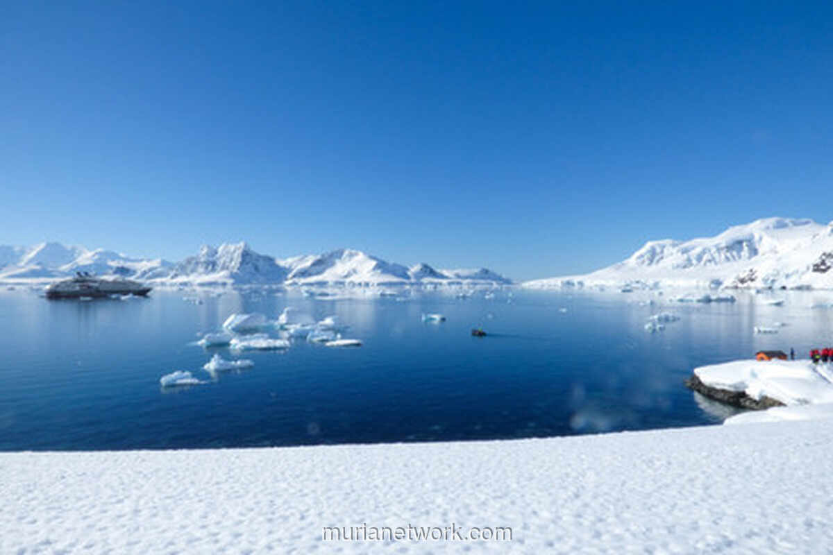Bayi Pertama Antartika: Kelahiran yang Dirancang untuk Klaim Kedaulatan