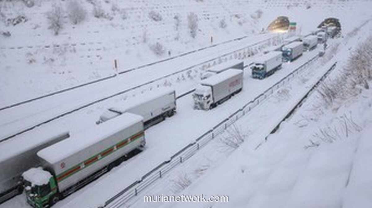 Badai Salju Jepang Kubur Bandara, Ribuan Penumpang Terjebak di Lantai