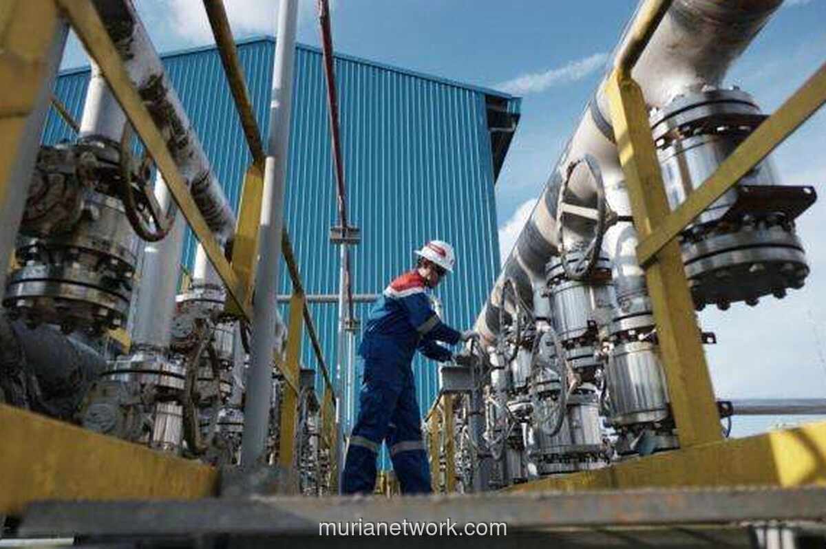 Pertamina EP Temukan Sumur Minyak Baru dengan Potensi 3.442 Barel Sehari