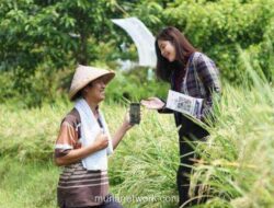 KUR BRI Tembus Rp178 Triliun, Sektor Produksi Jadi Penerima Terbesar