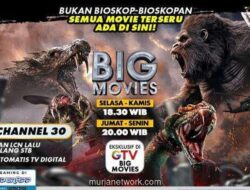 GTV Big Movies Sajikan Maraton Horor dan Laga, dari Lebah Pembunuh hingga Ular Raksasa