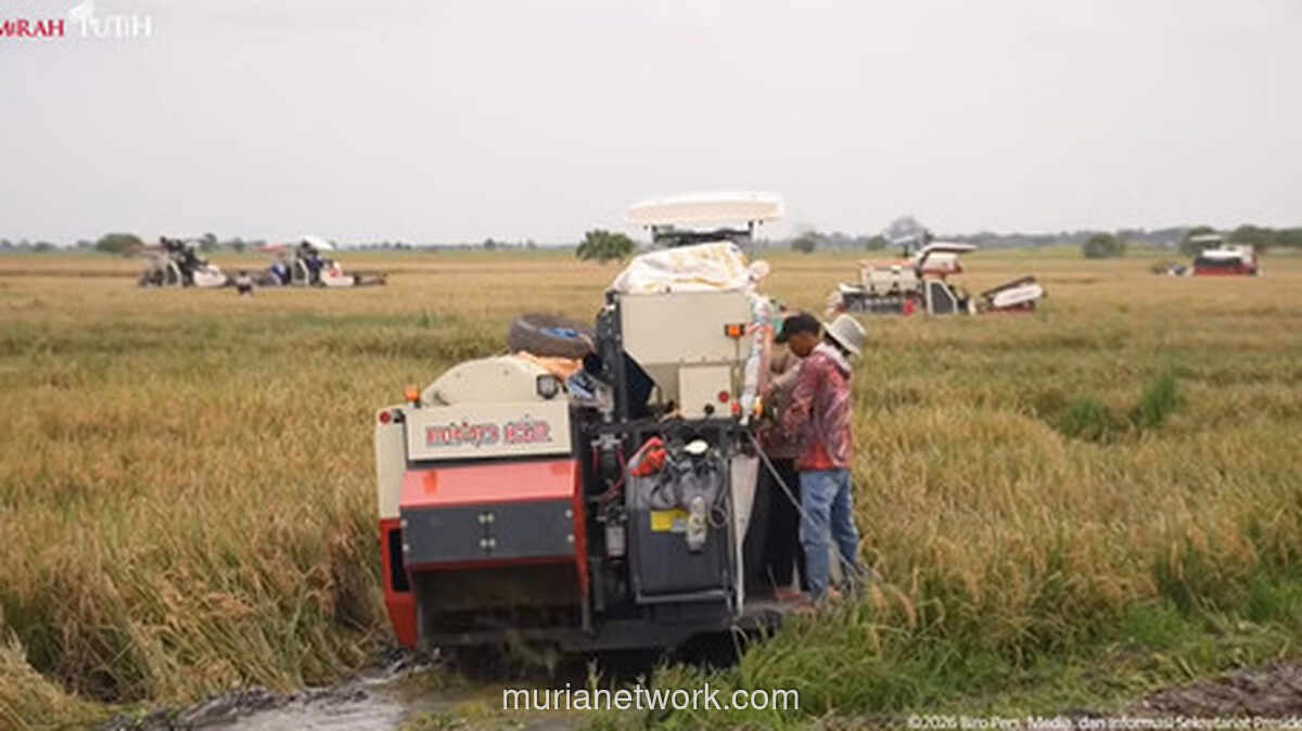 Surplus Beras di Gudang, Harga Mahal di Pasar: Kedaulatan Pangan yang Masih Rapuh