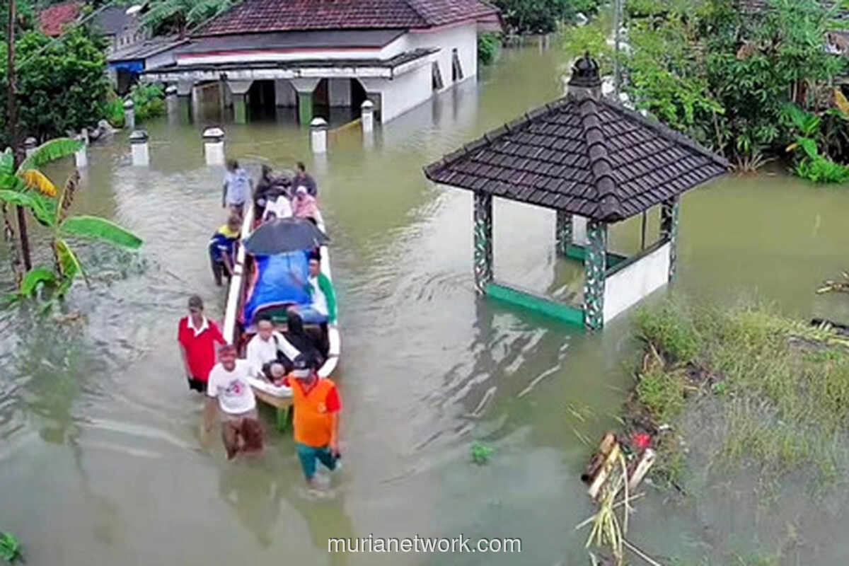 Jenazah Diantar Perahu, Warga Pati Berjuang di Tengah Banjir yang Melumpuhkan