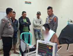 Naluri Ayah di Ujung Cakar Beruang: Wandi Selamat Usai Perjuangan Maut di Ladang Manggis