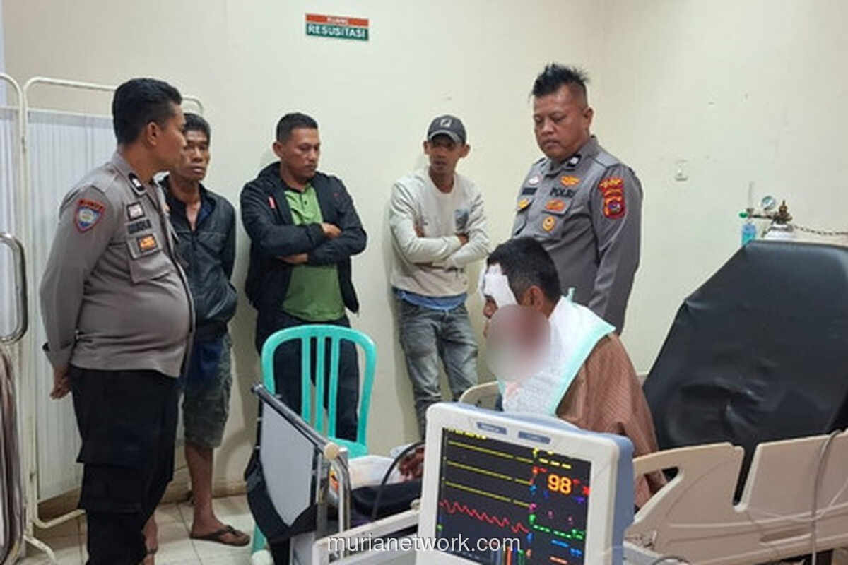 Naluri Ayah di Ujung Cakar Beruang: Wandi Selamat Usai Perjuangan Maut di Ladang Manggis