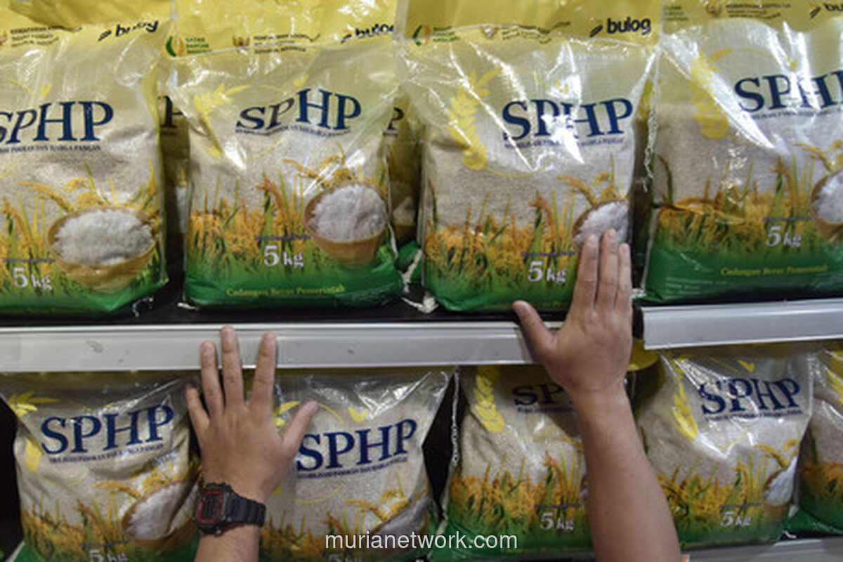 Bulog Usul Satu Harga Beras Rp 11.000, Tapi Minta Fee Naik Dulu