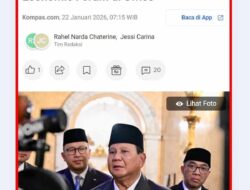 Prabowonomics di Davos: Gagasan atau Gincu Ekonomi?