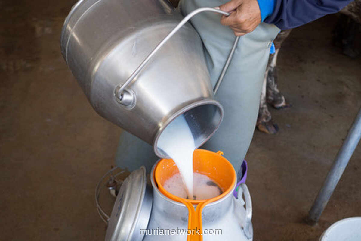 Program MBG Dituding Sebabkan Susu UHT Langka di Minimarket