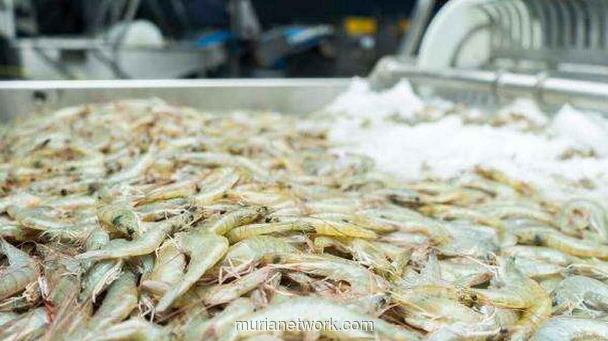 Manajemen UDNG Bantah Isu Akuisisi, Fokus Ekspansi Tambak Udang