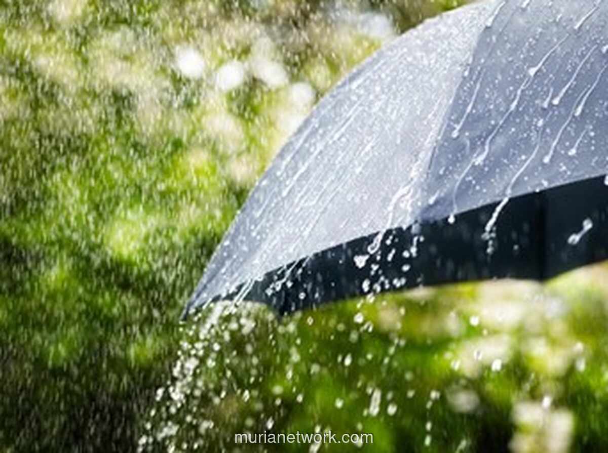 Waspada Hujan Seharian, BMKG Prediksi Jabodetabek Diguyur dari Pagi hingga Dini Hari