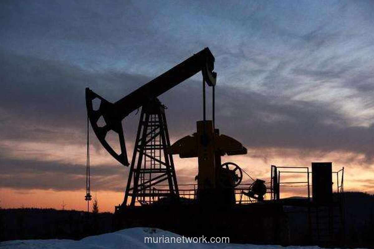 Harga Minyak Terjun Lesu, Ancaman Surplus 2026 dan Drama Venezuela Jadi Beban