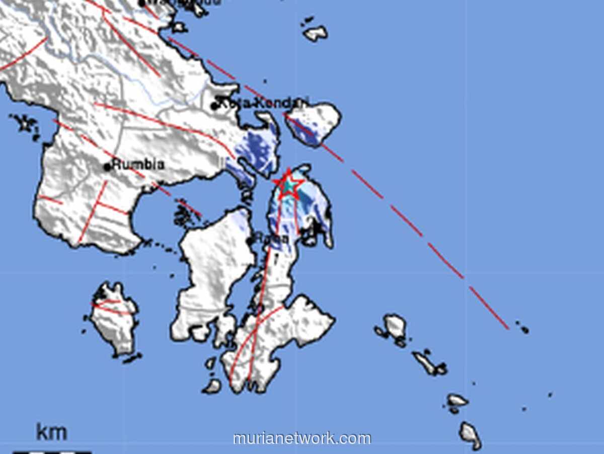 Gempa Dangkal Magnitudo 3,9 Guncang Buton Utara