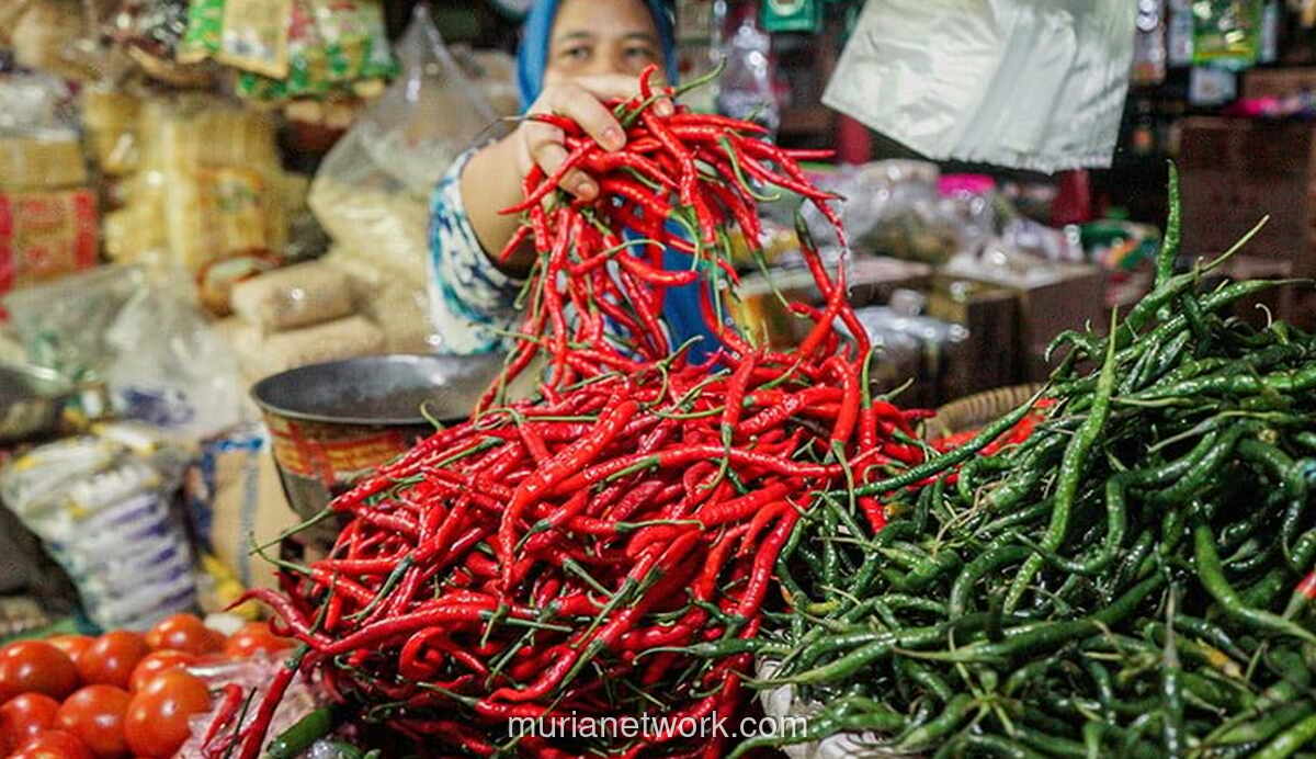 Harga Pangan Anjlok, Pasar Bernapas Lega di Awal 2026