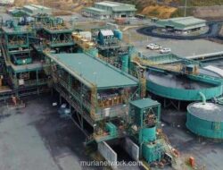 Diam-Diam Menguat, Saham AADI dan ADMR Torehkan Kenaikan Fantastis