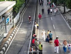 Oknum ASN Tebang Pohon di Jalan Iskandar Muda, Hukuman Disiplin Segera Dijatuhkan