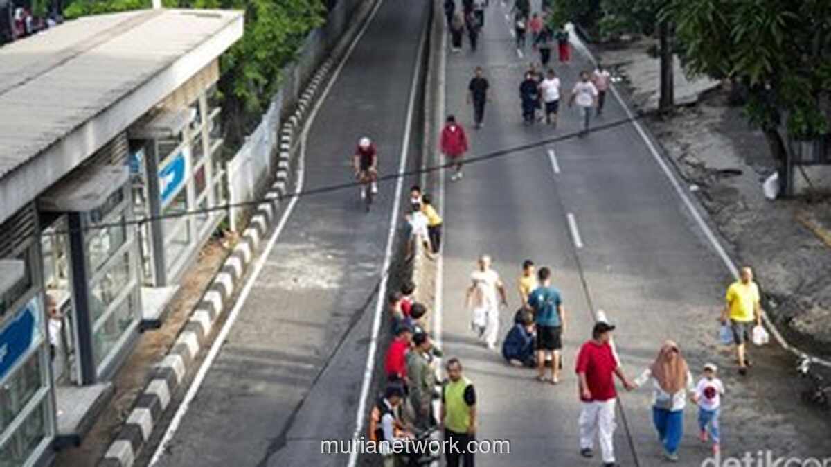 Oknum ASN Tebang Pohon di Jalan Iskandar Muda, Hukuman Disiplin Segera Dijatuhkan