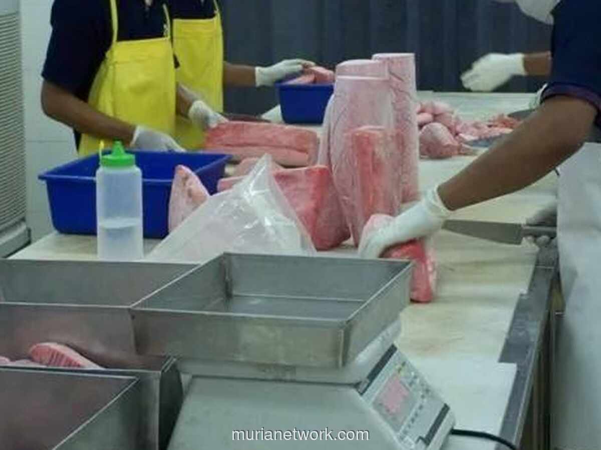 IKAN Cetak Rekor Transaksi Rp79,77 Miliar, Sahamnya Melonjak 430% dalam Setahun