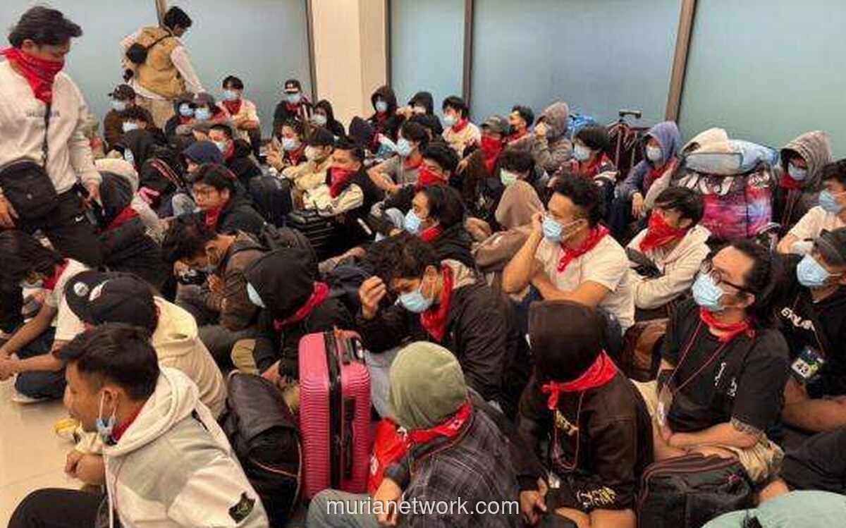 291 WNI Diselamatkan dari Sindikat Penipuan di Myanmar, Gelombang Evakuasi Terbaru Tiba di Tanah Air