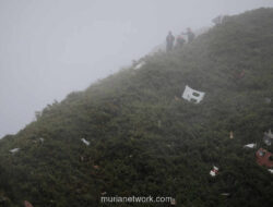 Cuaca Bandara Normal, Tapi Awan Tebal di Jalur Pendekatan Jadi Sorotan Usai Kecelakaan Pangkep