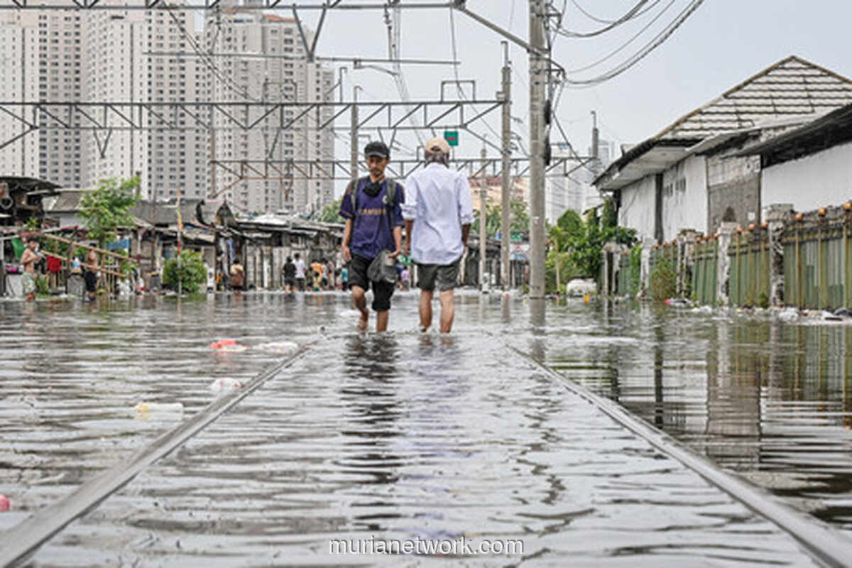 Hujan Deras Lumpuhkan Jakarta, 48 RT dan 29 Ruas Jalan Terendam