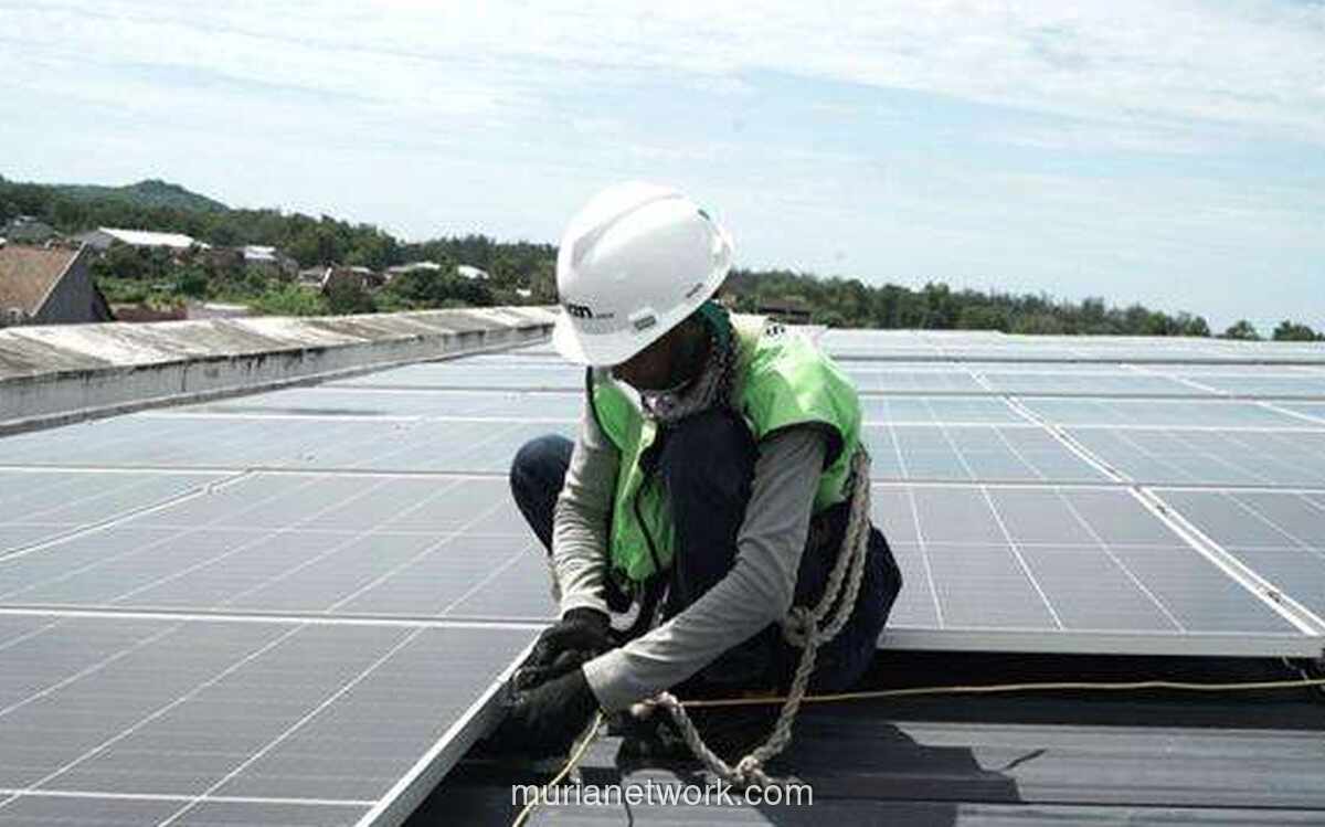 DSSA Pecah Saham, Harga Rp94 Ribu Bakal Ditekan ke Rp3.750