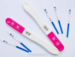 Haid Terlambat? Jangan Langsung Panik, Bisa Jadi Ini Penyebabnya