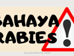 Rabies: Saat Kewaspadaan Kita Hanya Bangkit Setelah Ada yang Tewas