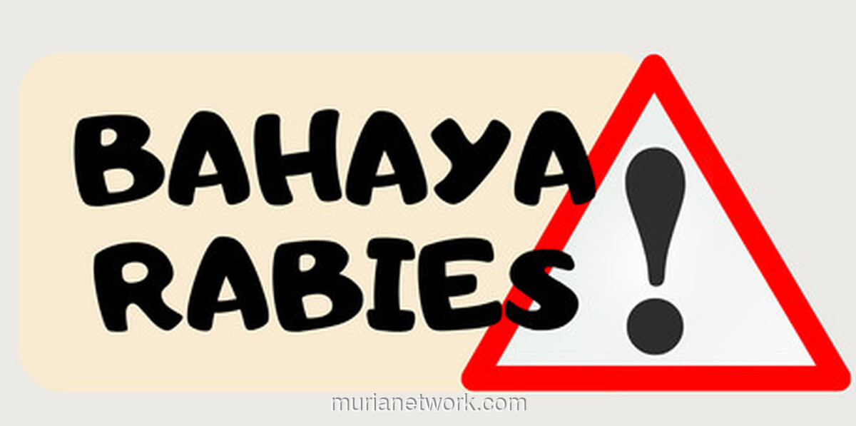 Rabies: Saat Kewaspadaan Kita Hanya Bangkit Setelah Ada yang Tewas