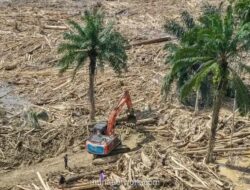 Enam Perusahaan Digugat Rp4,8 Triliun Atas Banjir Bandang di Sumut