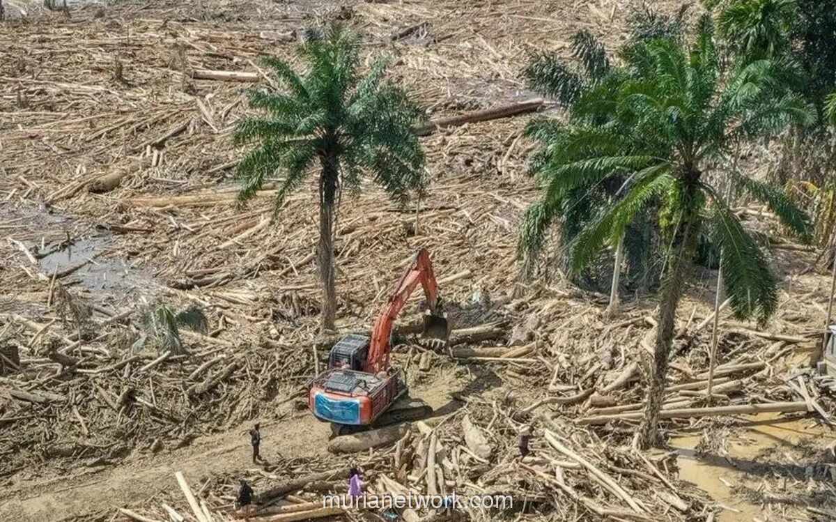 Enam Perusahaan Digugat Rp4,8 Triliun Atas Banjir Bandang di Sumut