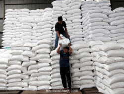 Bulog Siapkan Satu Juta Ton Beras Premium untuk Ekspor ke Pasar ASEAN