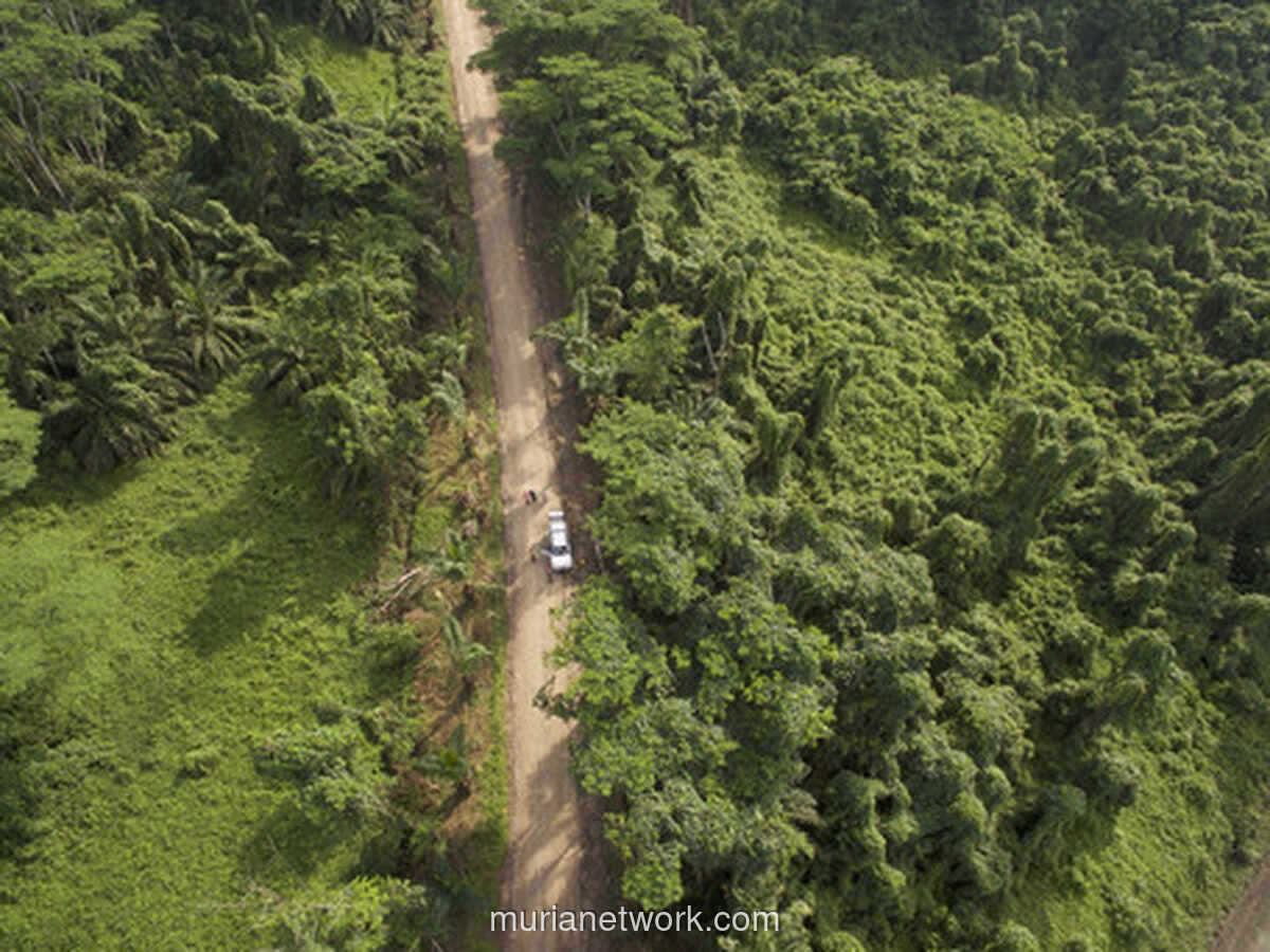 Kakeh Kardan Hilang di Hutan Pekuncen, Pencarian Dihadang Tebing dan Hujan