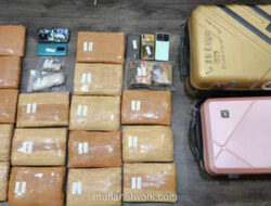 17 Kilogram Ganja Digagalkan di Kemayoran, Emat Pelaku Diamankan